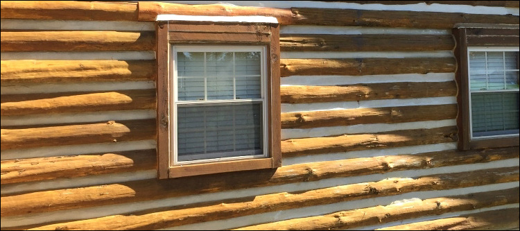 Log Home Whole Log Replacement  Lincoln County, Georgia
